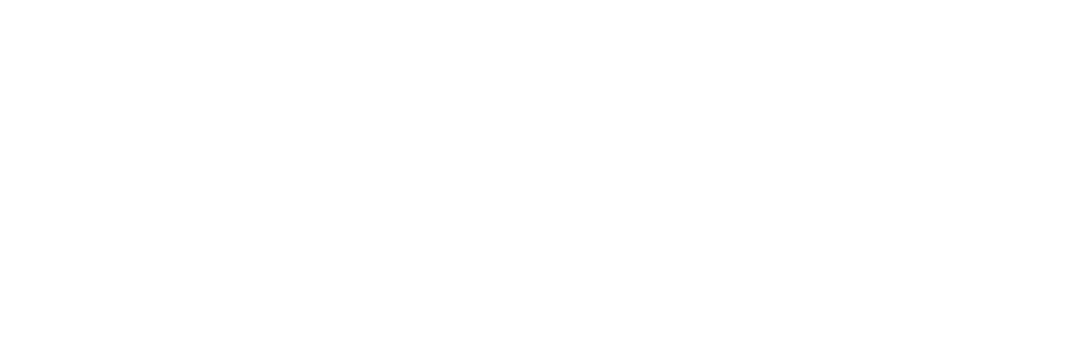 Sagacity